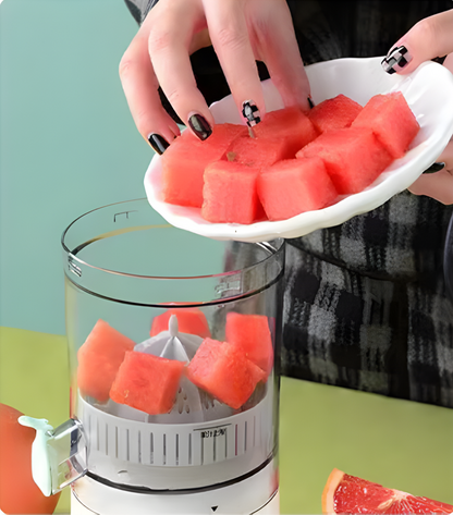 Portable USB Juicer